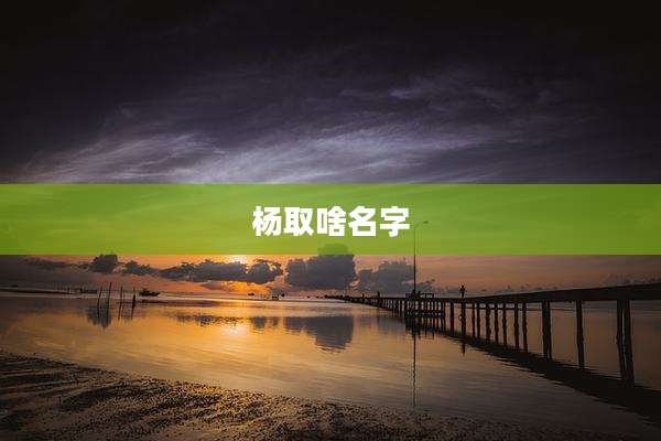 杨取啥名字