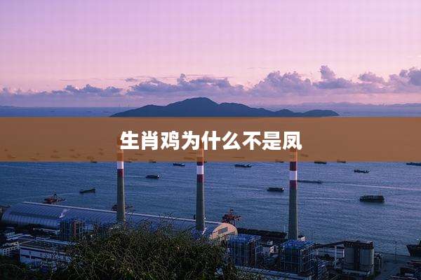 生肖鸡为什么不是凤