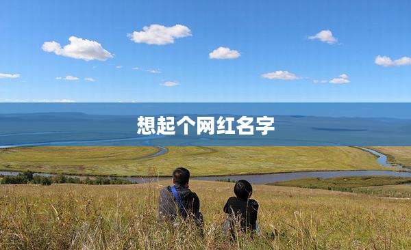想起个网红名字