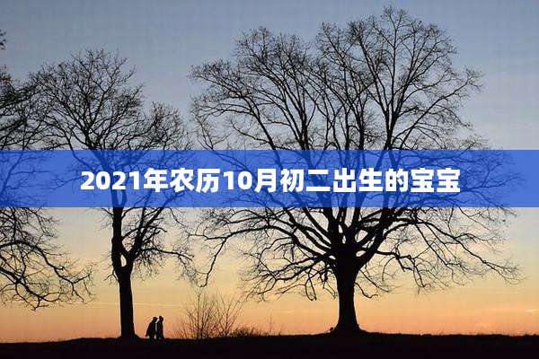 2021年农历10月初二出生的宝宝