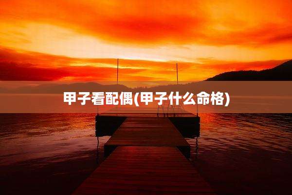 甲子看配偶(甲子什么命格)