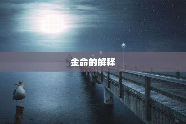 金命的解释