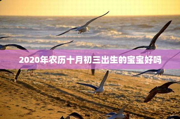 2020年农历十月初三出生的宝宝好吗