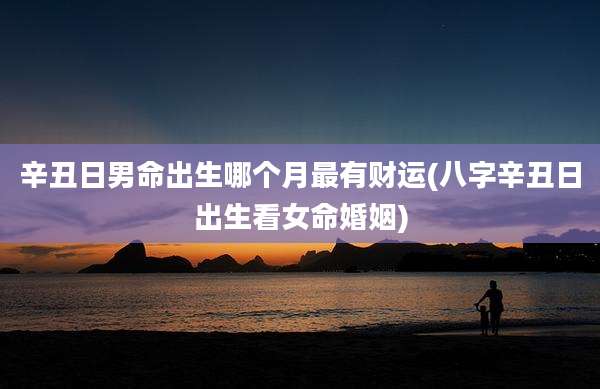 辛丑日男命出生哪个月最有财运(八字辛丑日出生看女命婚姻)