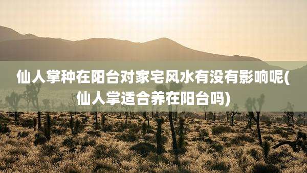 仙人掌种在阳台对家宅风水有没有影响呢(仙人掌适合养在阳台吗)