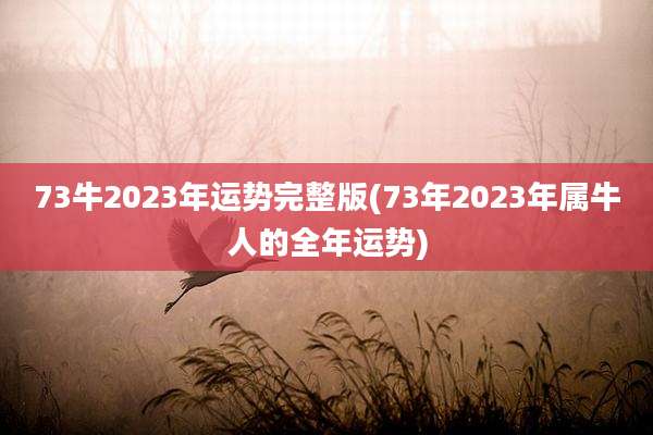 73牛2023年运势完整版(73年2023年属牛人的全年运势)