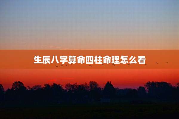 生辰八字算命四柱命理怎么看