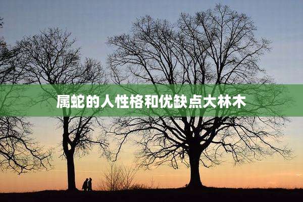 属蛇的人性格和优缺点大林木