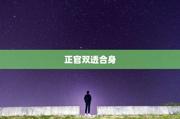 正官双透合身