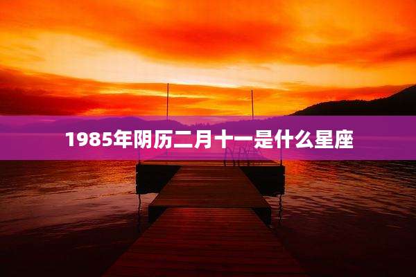 1985年阴历二月十一是什么星座