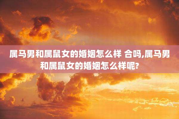 属马男和属鼠女的婚姻怎么样 合吗,属马男和属鼠女的婚姻怎么样呢?