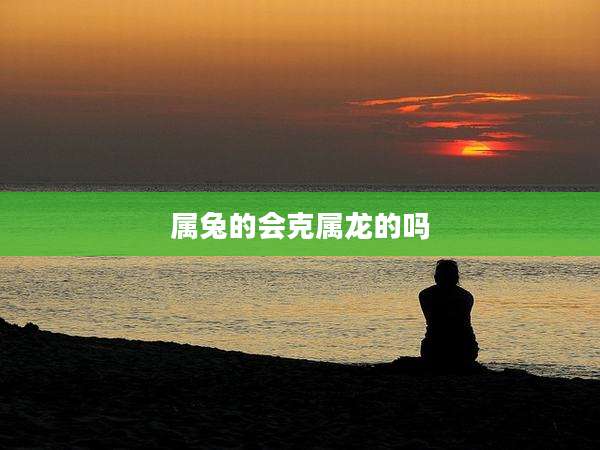 属兔的会克属龙的吗