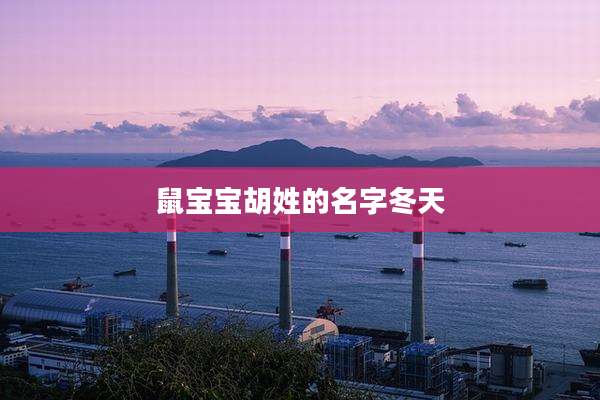 鼠宝宝胡姓的名字冬天