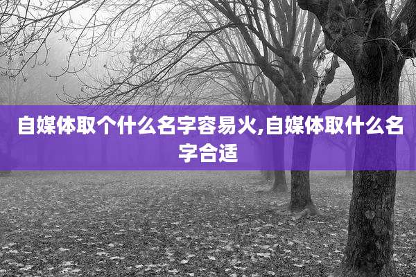 自媒体取个什么名字容易火,自媒体取什么名字合适