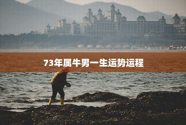 73年属牛男一生运势运程