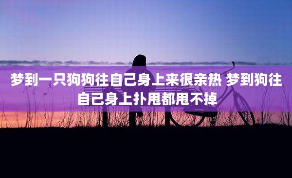 梦到一只狗狗往自己身上来很亲热 梦到狗往自己身上扑甩都甩不掉
