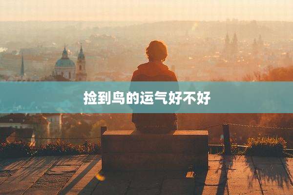 捡到鸟的运气好不好