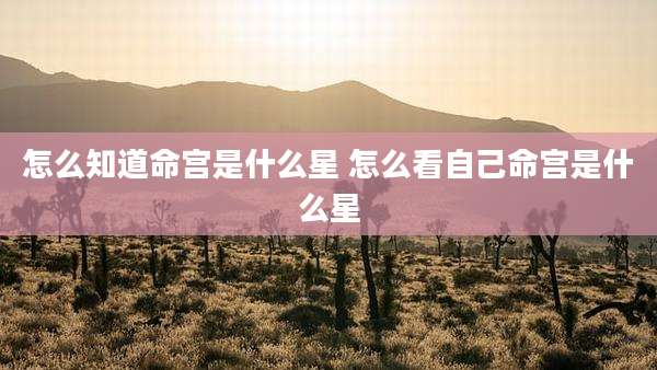 怎么知道命宫是什么星 怎么看自己命宫是什么星