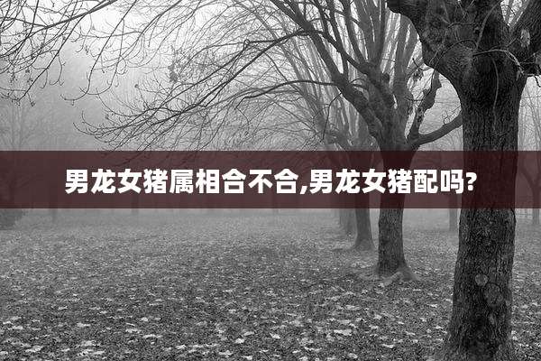 男龙女猪属相合不合,男龙女猪配吗?