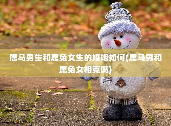 属马男生和属兔女生的婚姻如何(属马男和属兔女相克吗)
