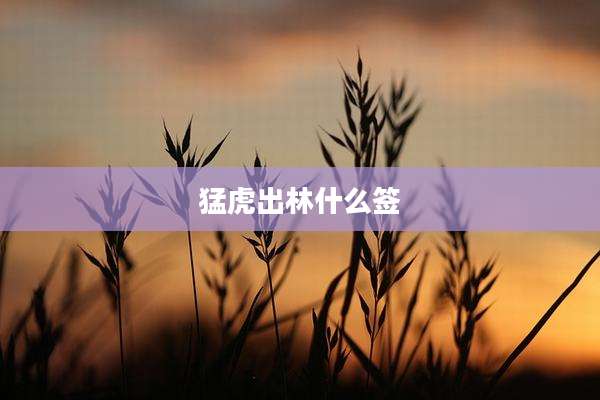 猛虎出林什么签