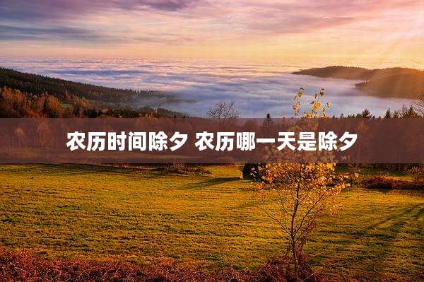 农历时间除夕 农历哪一天是除夕