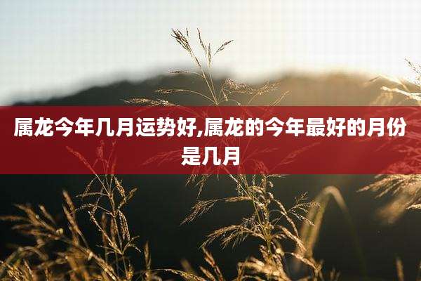 属龙今年几月运势好,属龙的今年最好的月份是几月