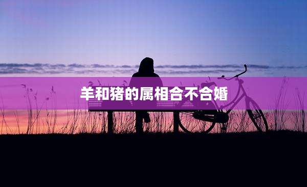 羊和猪的属相合不合婚