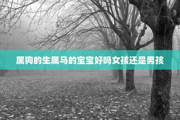 属狗的生属马的宝宝好吗女孩还是男孩