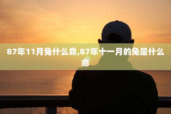 87年11月兔什么命,87年十一月的兔是什么命