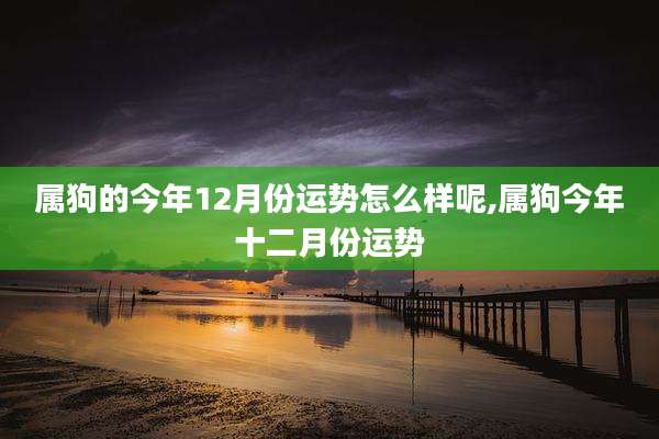 属狗的今年12月份运势怎么样呢,属狗今年十二月份运势