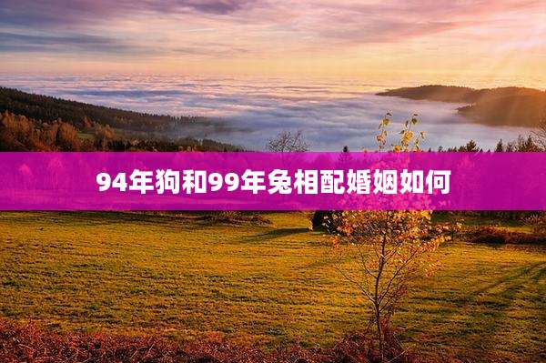 94年狗和99年兔相配婚姻如何