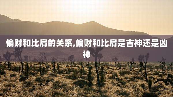 偏财和比肩的关系,偏财和比肩是吉神还是凶神