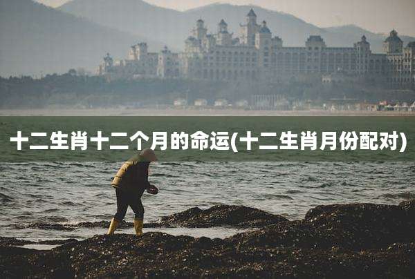 十二生肖十二个月的命运(十二生肖月份配对)