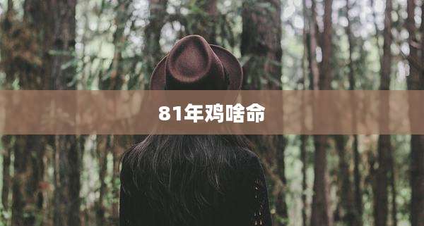 81年鸡啥命
