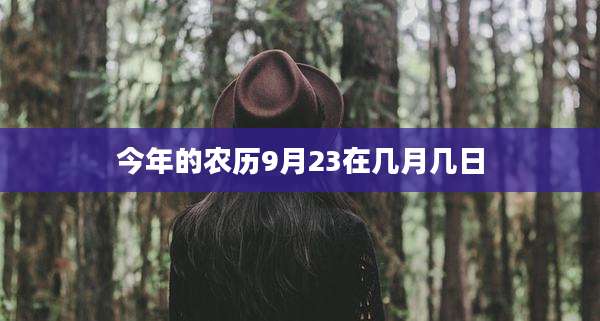 今年的农历9月23在几月几日