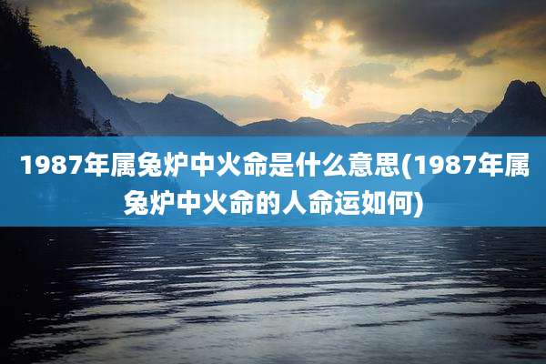 1987年属兔炉中火命是什么意思(1987年属兔炉中火命的人命运如何)