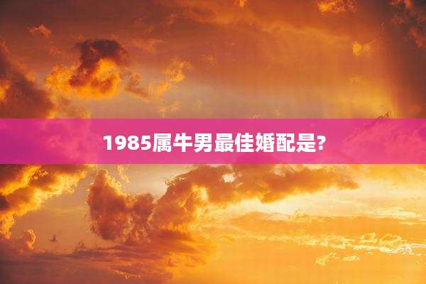 1985属牛男最佳婚配是?