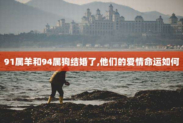 91属羊和94属狗结婚了,他们的爱情命运如何