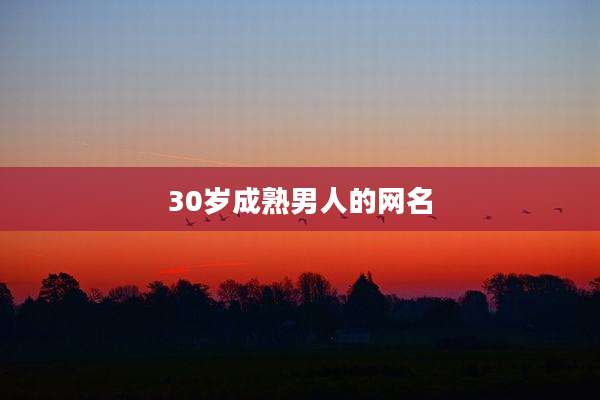 30岁成熟男人的网名