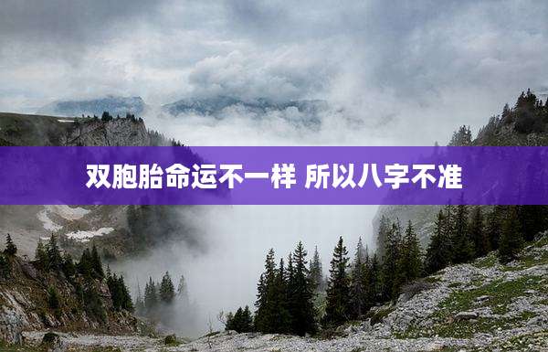 双胞胎命运不一样 所以八字不准