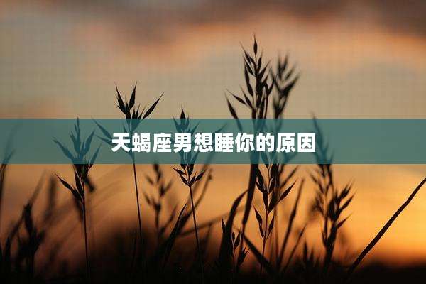 天蝎座男想睡你的原因