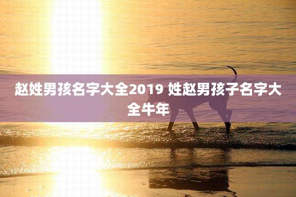 赵姓男孩名字大全2019 姓赵男孩子名字大全牛年