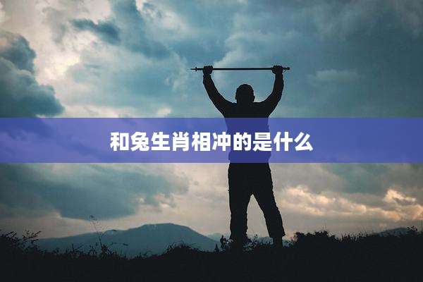 和兔生肖相冲的是什么