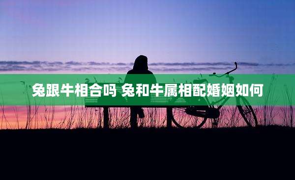 兔跟牛相合吗 兔和牛属相配婚姻如何