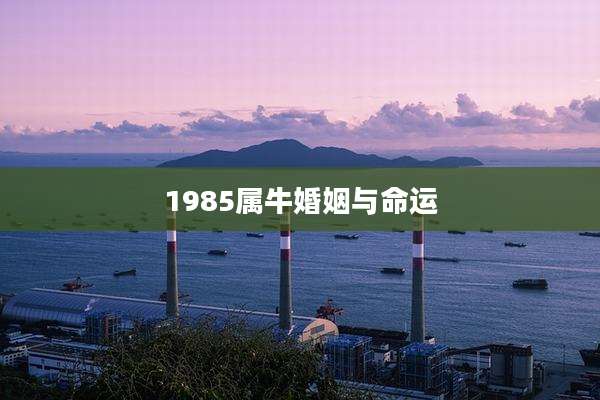 1985属牛婚姻与命运