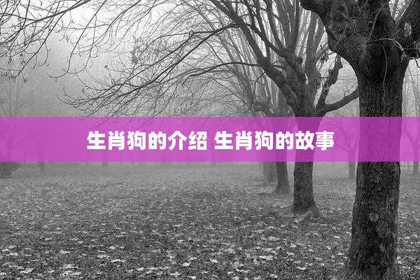 生肖狗的介绍 生肖狗的故事