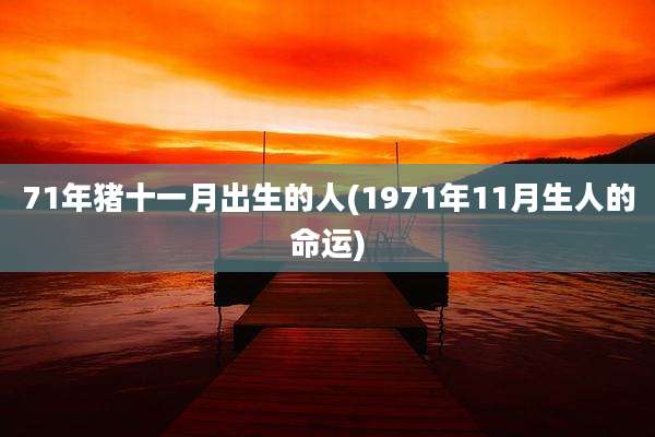 71年猪十一月出生的人(1971年11月生人的命运)