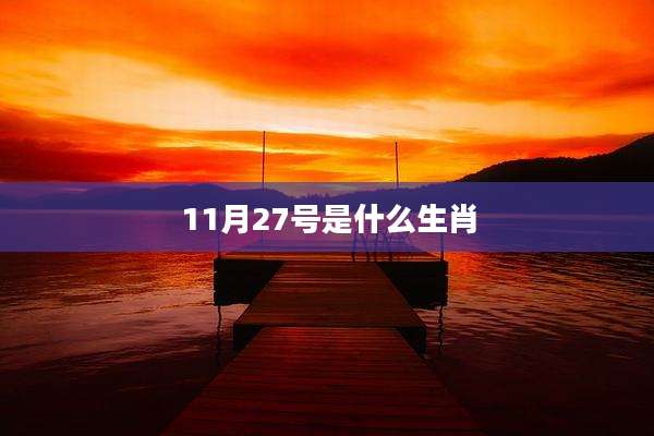 11月27号是什么生肖