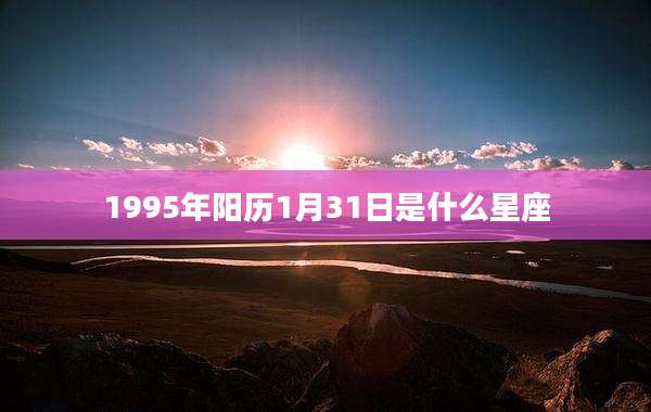 1995年阳历1月31日是什么星座